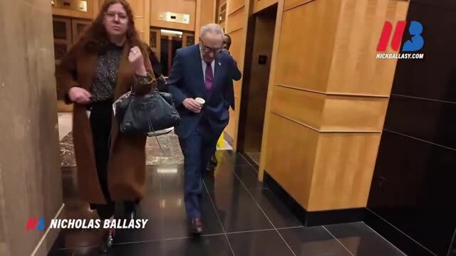 Schumer Declines to Explain Why Dems Are Saying Pres. Trump Needs Authority for the Iran Operation