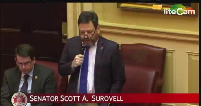 Virginia Senate Majority Leader Blames ICE for the Murder of Va. Woman Who Was Killed by an Illegal Alien