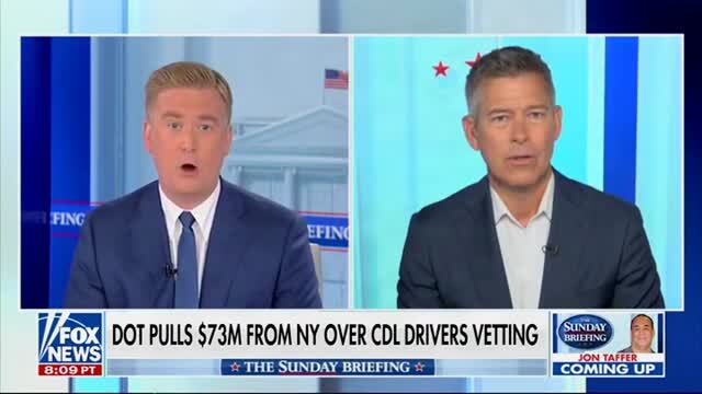 Sean Duffy: Foreign Commercial Drivers ‘Endanger Families’ Who Go to Church or Go to Walmart to Shop