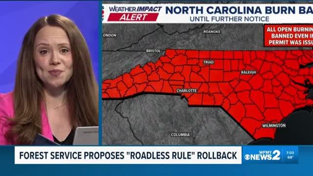 Environmental Activists Blast Trump Plan to Open Forest Roads