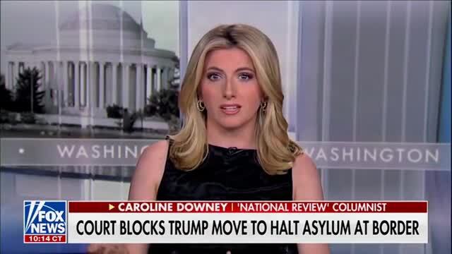 Caroline Downey: ‘Activist Judges Are Basically Doing the Bidding of the Democratic Party’ to Let Illegal Immigrants Enter the U.S.