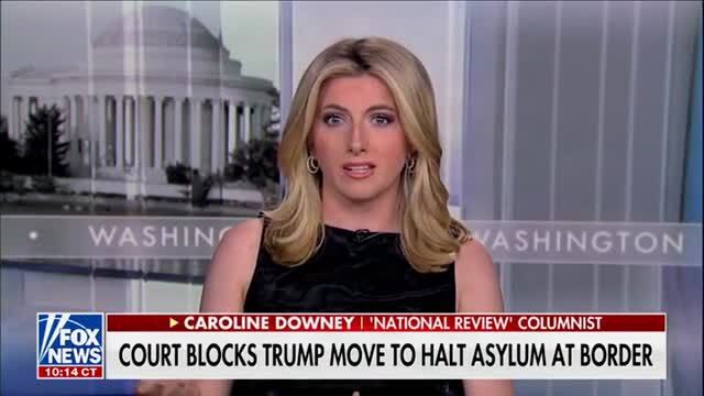 Caroline Downey: ‘Asylum System Has Been Massively Gamed by Economic Migrants,’ Not Refugees Seeking Protection from Persecution