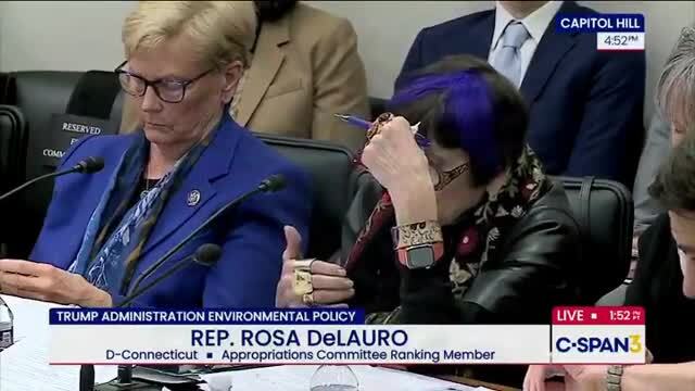 Purple-Haired Congresswoman Flips out on Lee Zeldin: ‘You Do Not Have the Right to Say Climate Change Does Not Exist!!’