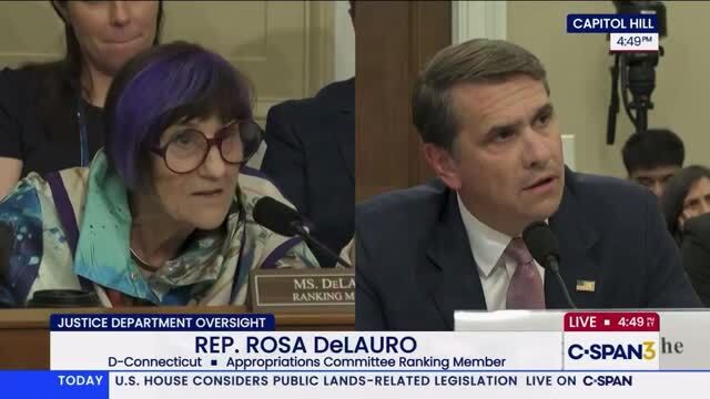 Todd Blanche Battles DeLauro on Trump Family’s ‘Blanket Immunity:’ ‘I Have Not Answered the Question’