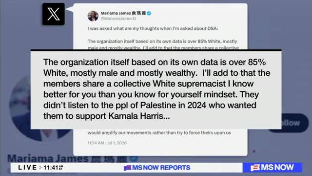 NYC DSA Co-Chair: Democratic Socialists Are Presenting a Vision that Voters Are Excited About