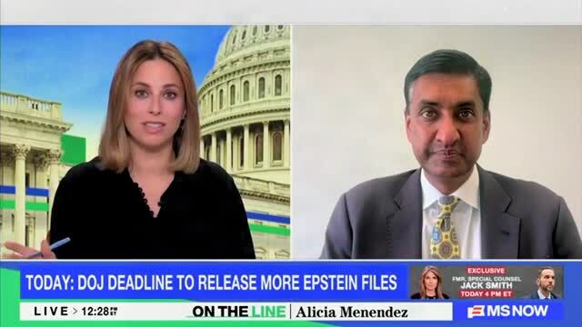 Ro Khanna: We Have Not Investigated a Single Person in the Epstein Files Here in the U.S.