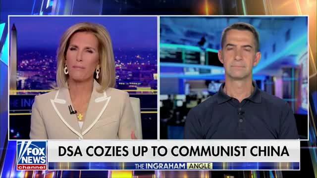 Tom Cotton on Graham Platner: Dems Are Throwing Him Overboard Because Susan Collins Was Beating Him