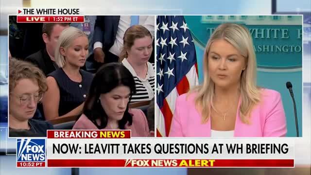 Karoline Leavitt: Vehicle Stops by ICE Are Continuing