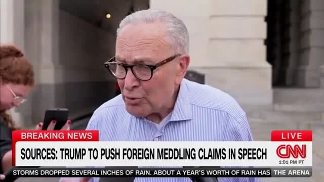 Chuck Schumer: Instead of Peddling ‘Bulls**t’ About 2020 Election, Trump Should Focus on Lowering People’s Costs