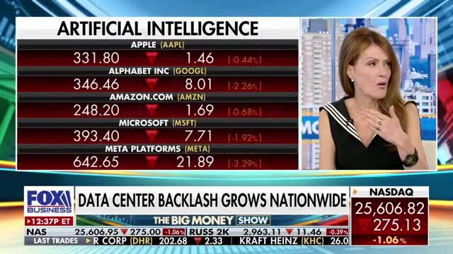Dagen McDowell Blasts Big Tech for Data-Driven Efficiency, Ignoring Human Cost: ‘I Am Done Carrying Water for These Tech Companies’