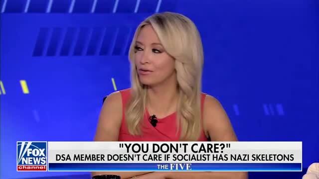 Kayleigh McEnany: ‘More Democrats Voted for Ending Aid to Israel Than Voted to Keep It There’