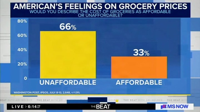 MS NOW: New Poll Shows 66% of Americans Describe Cost of Groceries as Unaffordable