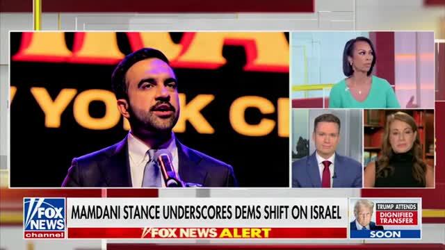 Dem Strategist: If Mainstream Democrats Don’t Speak Out in Droves Against the Rise of DSA Candidates, ‘We’re Going to Lose the Party’