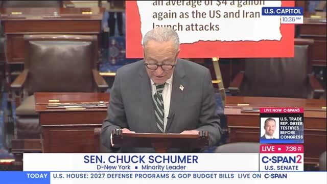 Schumer: Democrats Are Going to Make Sure These Midterms Belong to the American People, Not to Trump