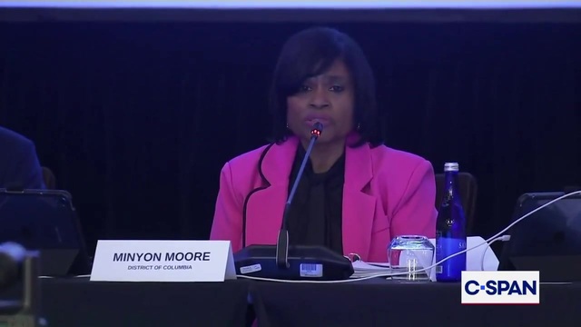 Democratic National Committee Panel Votes for South Carolina to Hold the First 2028 Presidential Primary Contest
