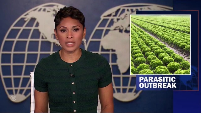 CBS: The CDC Said the Cyclosporiasis Outbreak Linked to Iceberg Lettuce Has Expanded to Four More States and Sickened Thousands
