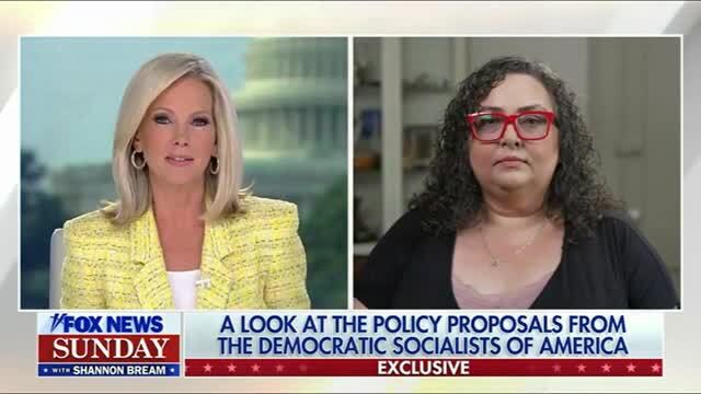 DSA Co-Chair Confirms Their Platform Includes: Abolishing the Senate, Presidency, & Supreme Court; Abolishing ICE, Borders, & Prisons