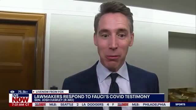 Sen. Hawley on AG Nominee Blanche Markup: I Don’t Know What to Expect