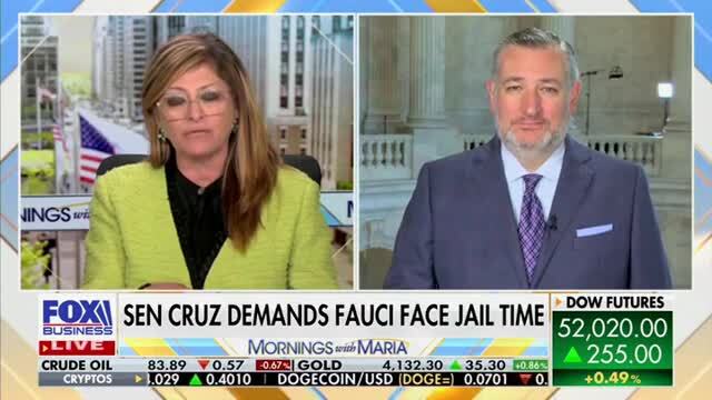 Sen. Cruz: Fauci Pled The Fifth Because Alternative Was Lying to Congress