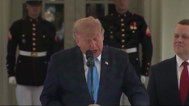 Trump on ‘Freedom Haulers’ Initiative: Getting Illegal Alien Truck Drivers Off American Roadways, Replacing Them with ‘Proud American Veterans’