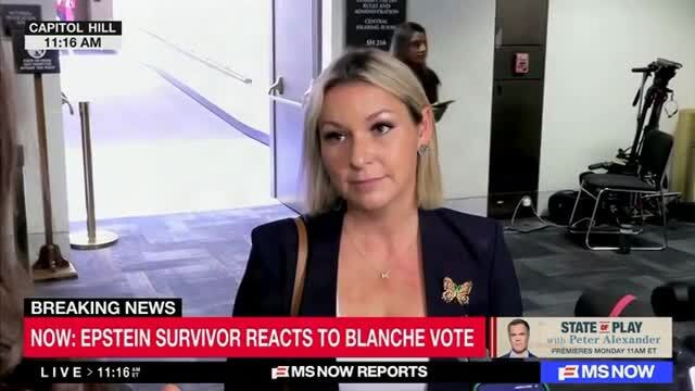 Epstein Survivor to Sens. Collins, Murkowski, Bill Cassidy: ‘Please Take a Meeting with Us’