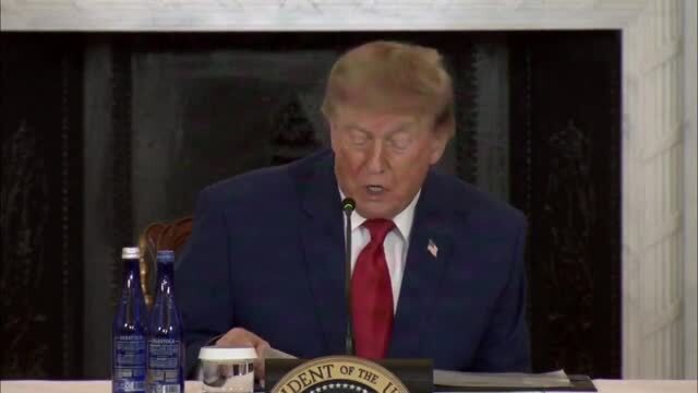 Trump: Minerals Are the Raw Materials of American Strength, We Want These Essential Products To Be Mined, Refined, and Made in the USA