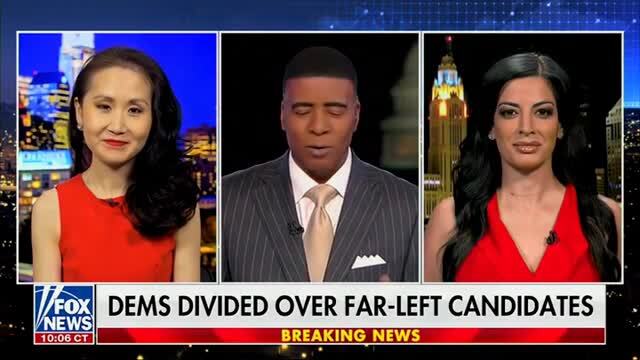 Lindy Li: DNC Donors Are ‘Sick and Tired’ of the Party After $1.5 Billion Was ‘Wasted’ in 2024