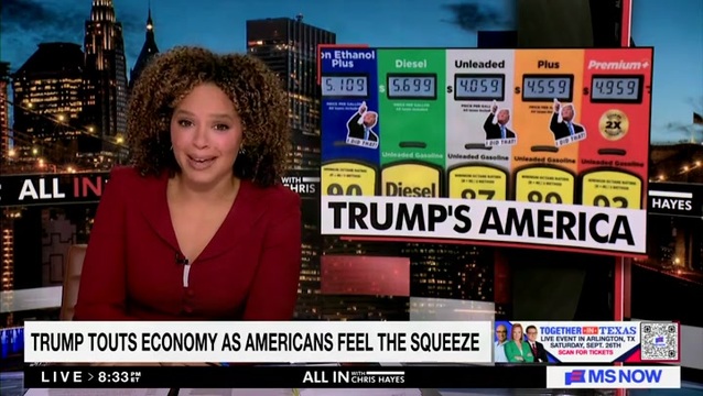 Hylton on Trump’s America: ‘Wall Street Is Not the Economy,’ About 40% of Americans Don’t Even Own Stocks