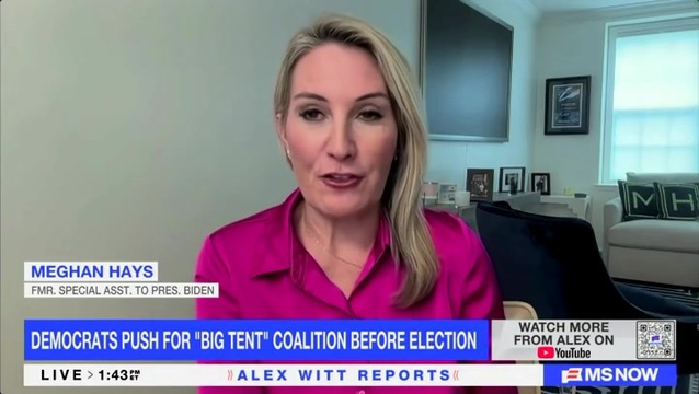 Meghan Hays on Dem’s ‘Big Tent:’ People Are Mad at Trump and His Policies, They’re Mad at the Economy and Want to Afford Their Groceries and Gas