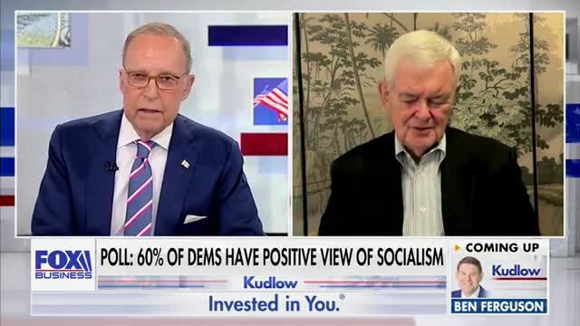 Newt Gingrich: Dems Are Desperately Counting on All of Us to Have Amnesia — AOC Has Repudiated Everything She Said the Past Four Years