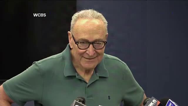 Chuck Schumer on DSA Candidates: ‘We Are a Big Tent Party’