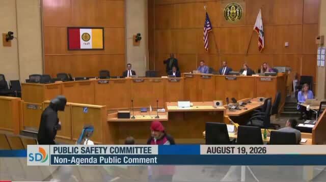Darth Vader Told the San Diego City Council He Is in Favor of Flock Cameras