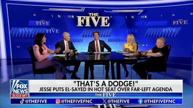 Watters: ‘I Like Abdul El-Sayed for Some Stupid Reason But He’s Not Right for Michigan’