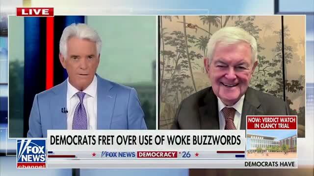 Newt Gingrich: The Things These DSA Candidates Believe in ‘Are Nuts’