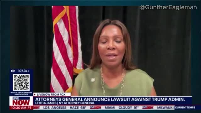 NY AG Letitia James Files a Lawsuit Against Pres. Trump for Kicking Illegal Aliens Off of SNAP