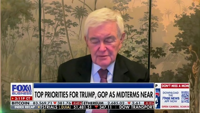 Newt Gingrich: Trump Needs to Go ‘on the Stump Like Harry Truman’; ‘He’s Got to Stick to Telling the American People the Truth’