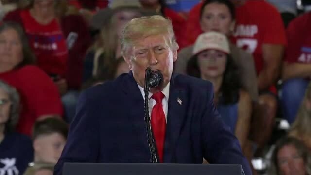 Trump: Democrats Vote Against Voter ID Because They Want to Cheat