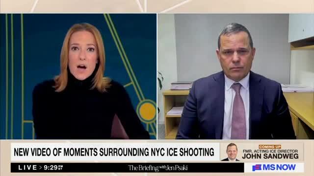 John Sandweg Criticizes ICE Arrest Tactics: ‘I Have Real Concerns About Whether There Was a Plan at All’