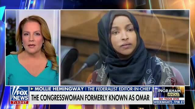 Mollie Hemingway: Americans Are ‘Sick to Death of Immigration Fraud and How It Has Harmed the Country’