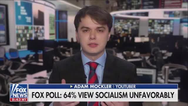 Adam Mockler to Fox Panel: Trump as President Seizing Stakes in Companies Is Also Socialism — ‘Can We Condemn That?’